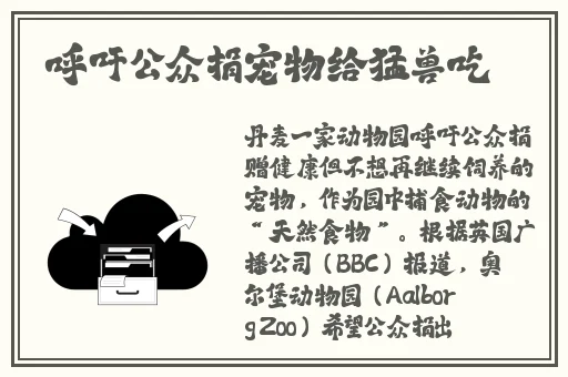 悠悠视频免费观看
