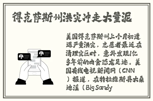 B站大但人文艺术